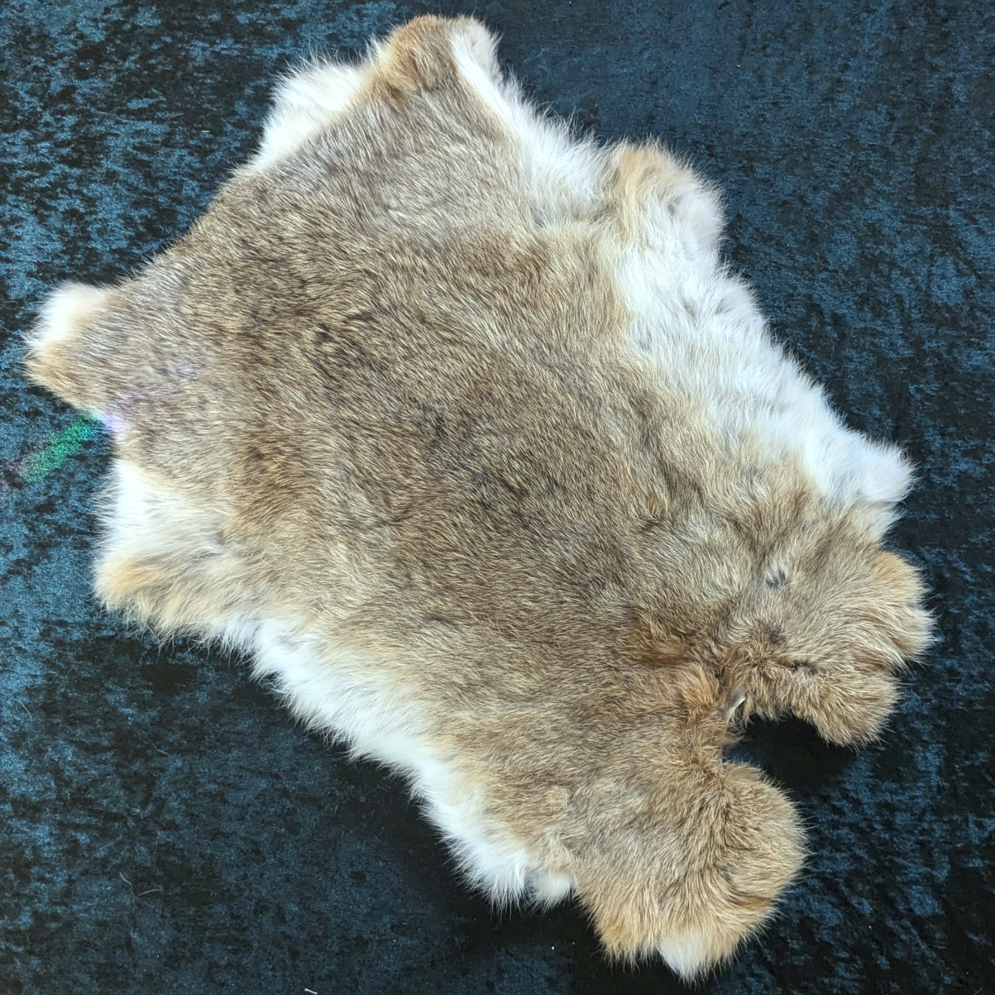 Rabbit skin casting cloth | Morbitorium